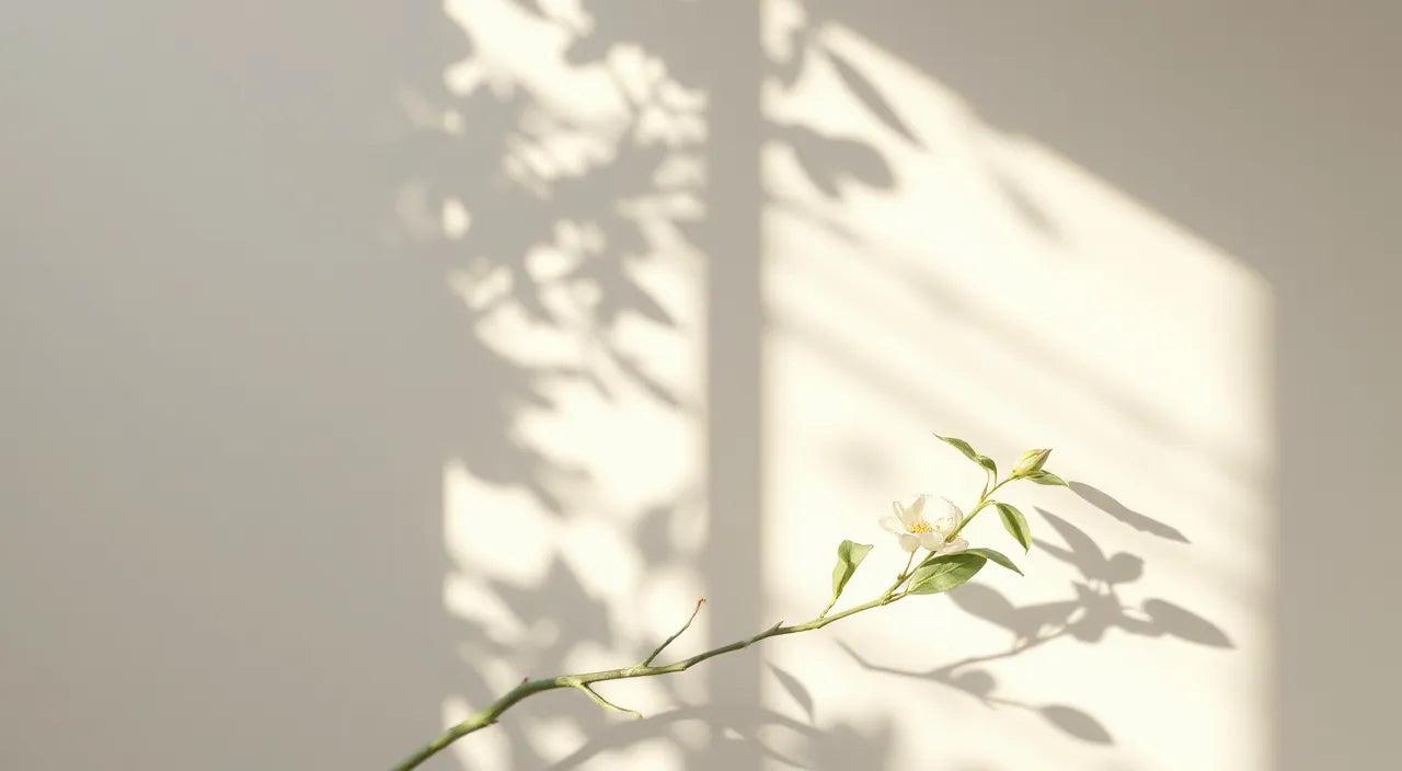 Layered light glow, color swatches, and shadow patterns