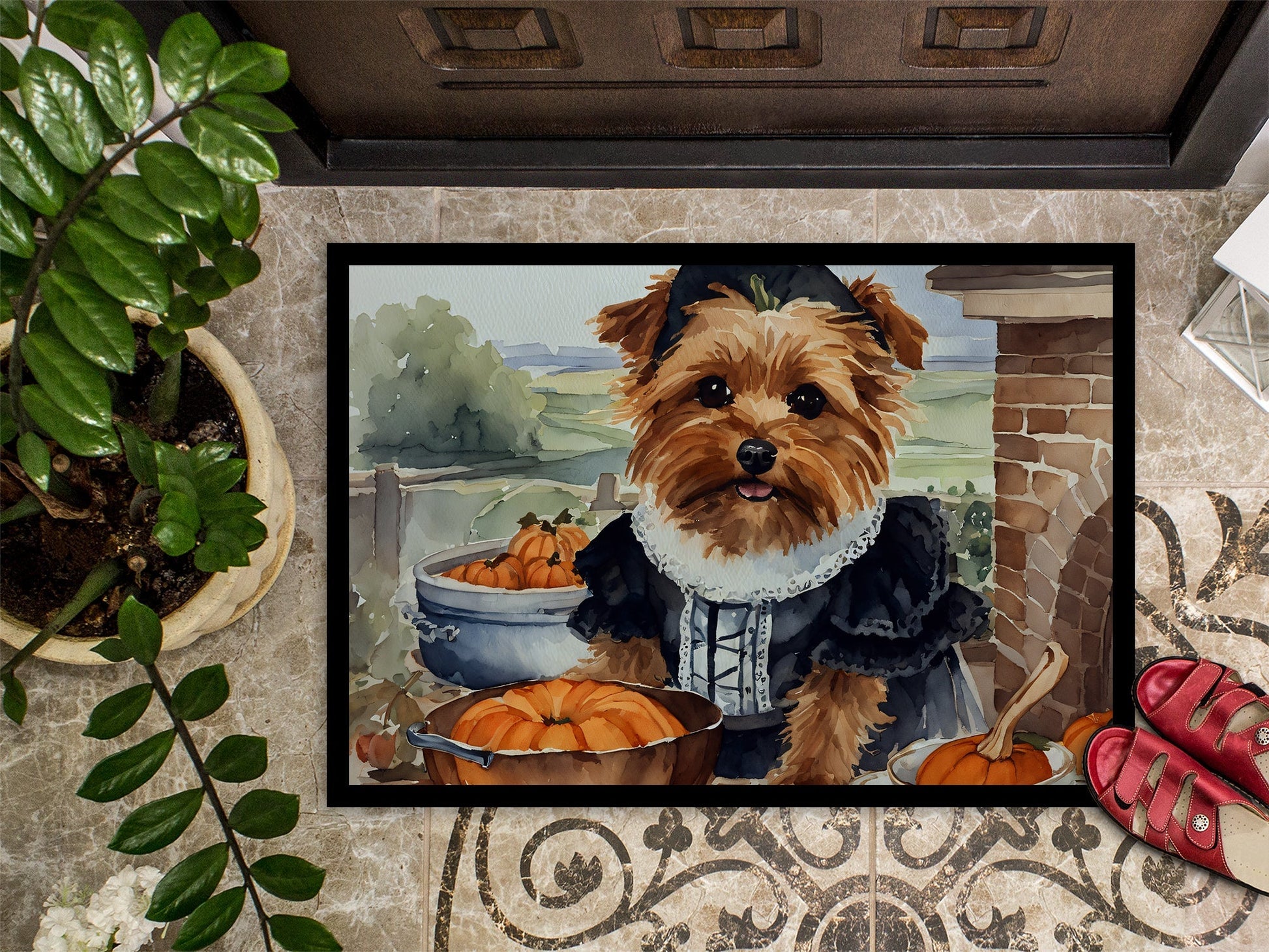 Norfolk Terrier Fall Kitchen Pumpkins Doormat - One Color / One Size - Home & Garden - Home Textile - Carpets & Rugs