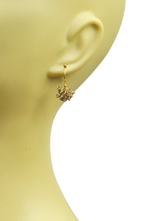 Smoky Topaz Cluster Vermeil Earrings - One Color / One Size - Jewelry & Accessories
